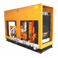 50Hz 160kw 200kVA Natural Gas Generator Silent Canopy